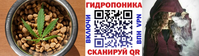 где продают наркотики  блэк спрут как войти  Canna-Cookies конопля  Назарово 