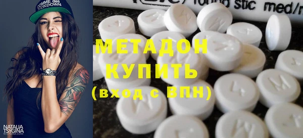 прущие грибы Вязники