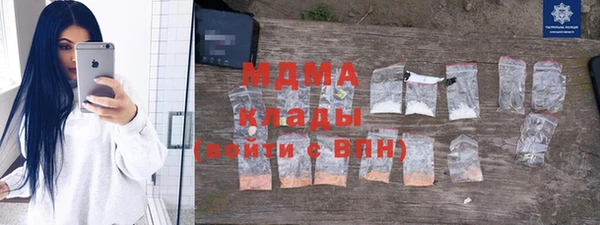 прущие грибы Вязники