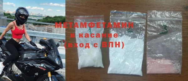 прущие грибы Вязники
