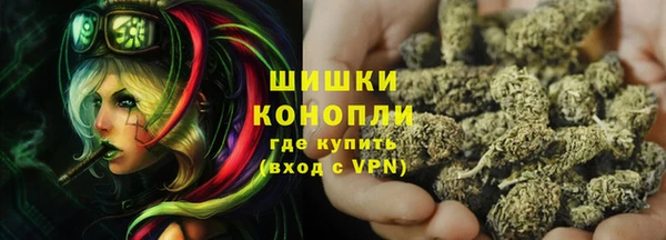 прущие грибы Вязники