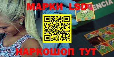 дмт Камышлов
