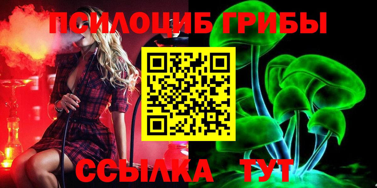 Псилоцибиновые грибы мицелий Назарово