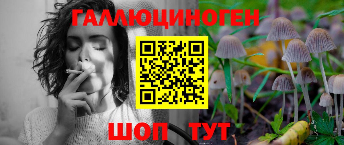 Псилоцибиновые грибы MAGIC MUSHROOMS  Галлюциногенные грибы Cubensis  Назарово  Вход с VPN 